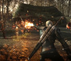 the witcher 3
