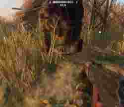 Survarium
