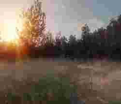 Survarium