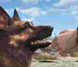 Fallout 4