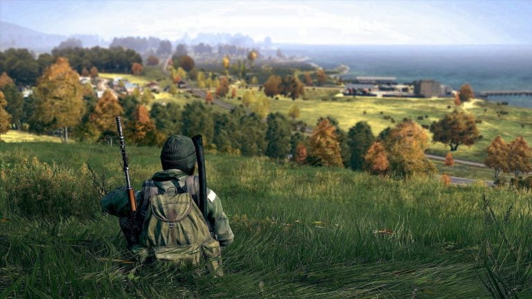 DayZ look for release date