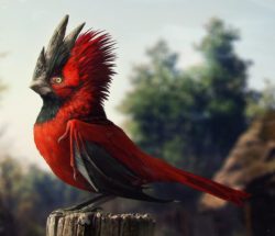 CD Projekt RED