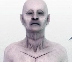 Autopsy Simulator