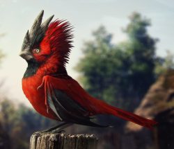 CD Projekt RED