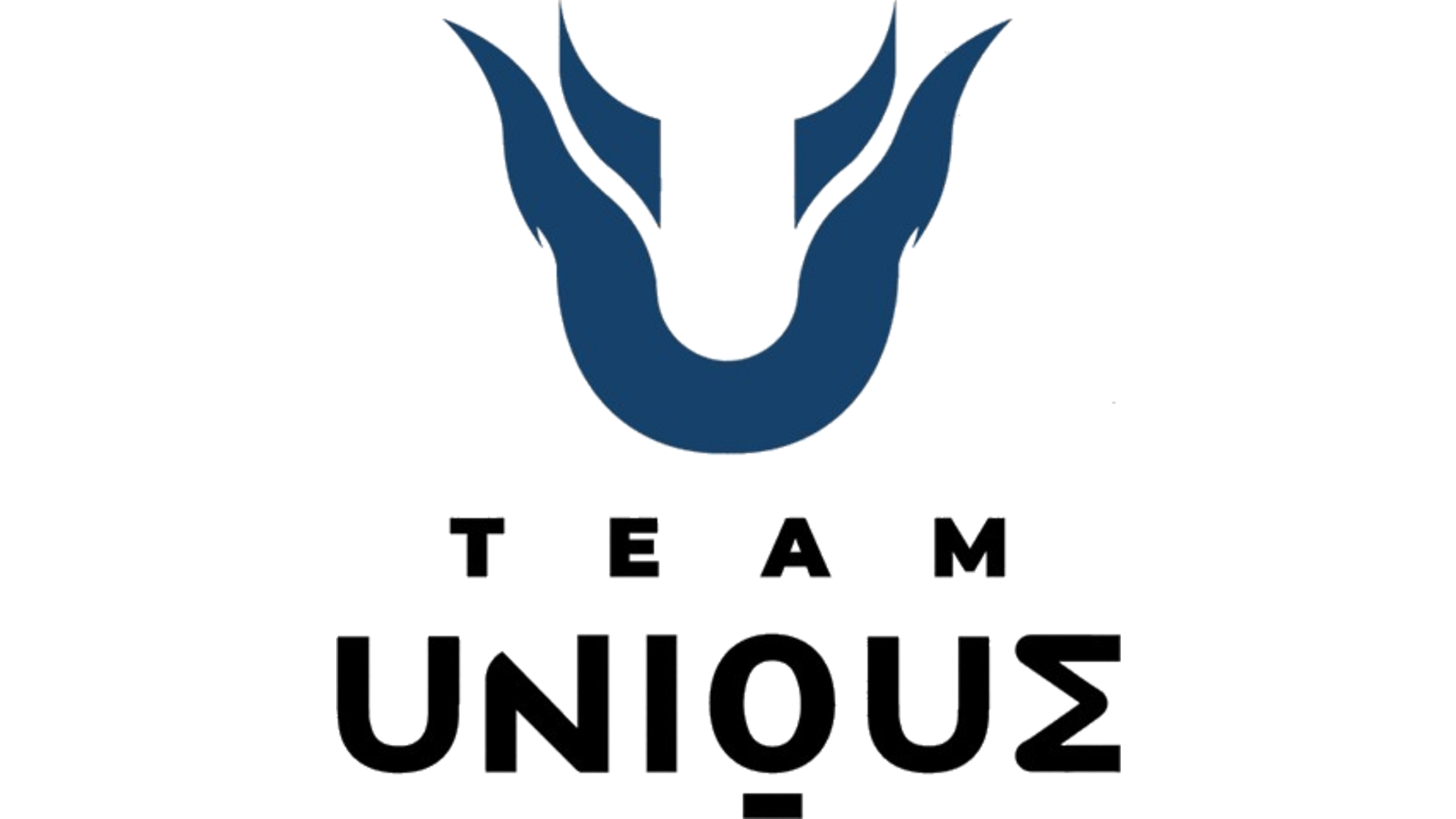 Team Unique (Mind Games)