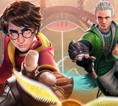 harry potter quidditch champions