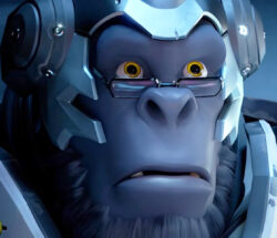 overwatch