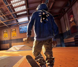 tony hawk