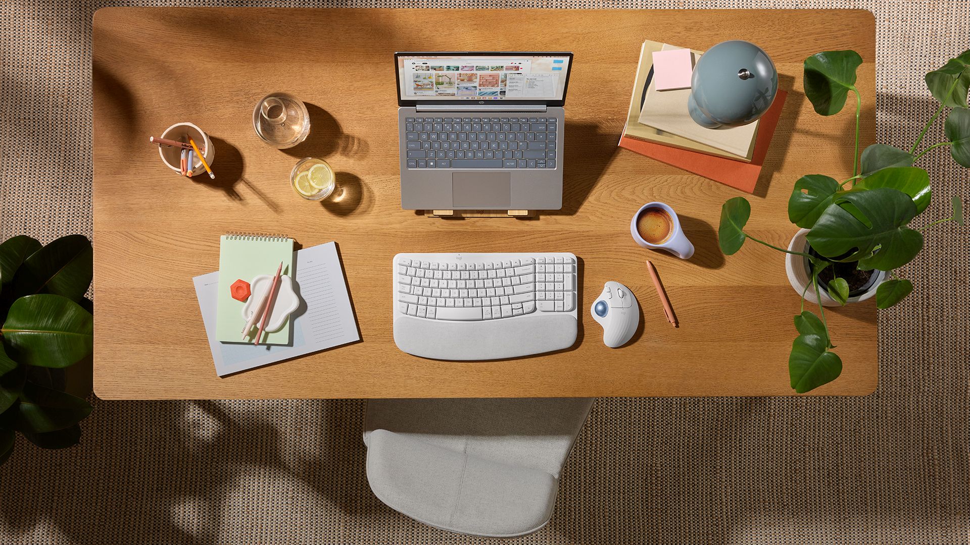 logitech ergo 04