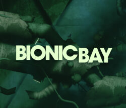 bionic bay