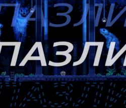 animalwell