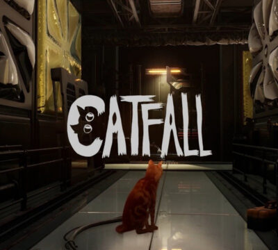 p.ua.catfall
