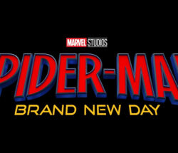 p.ua.spider man brand new day