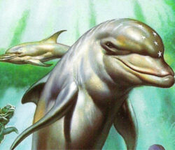 ecco the dolphin