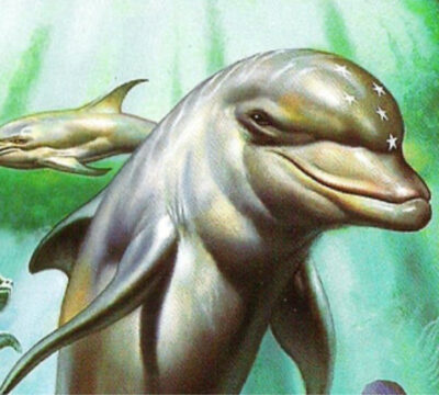 ecco the dolphin