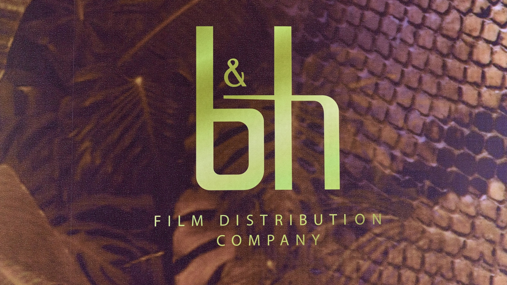 p.ua.b&h film distribution