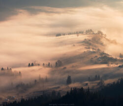 mist in mountain village. verkhovyna, ukraine