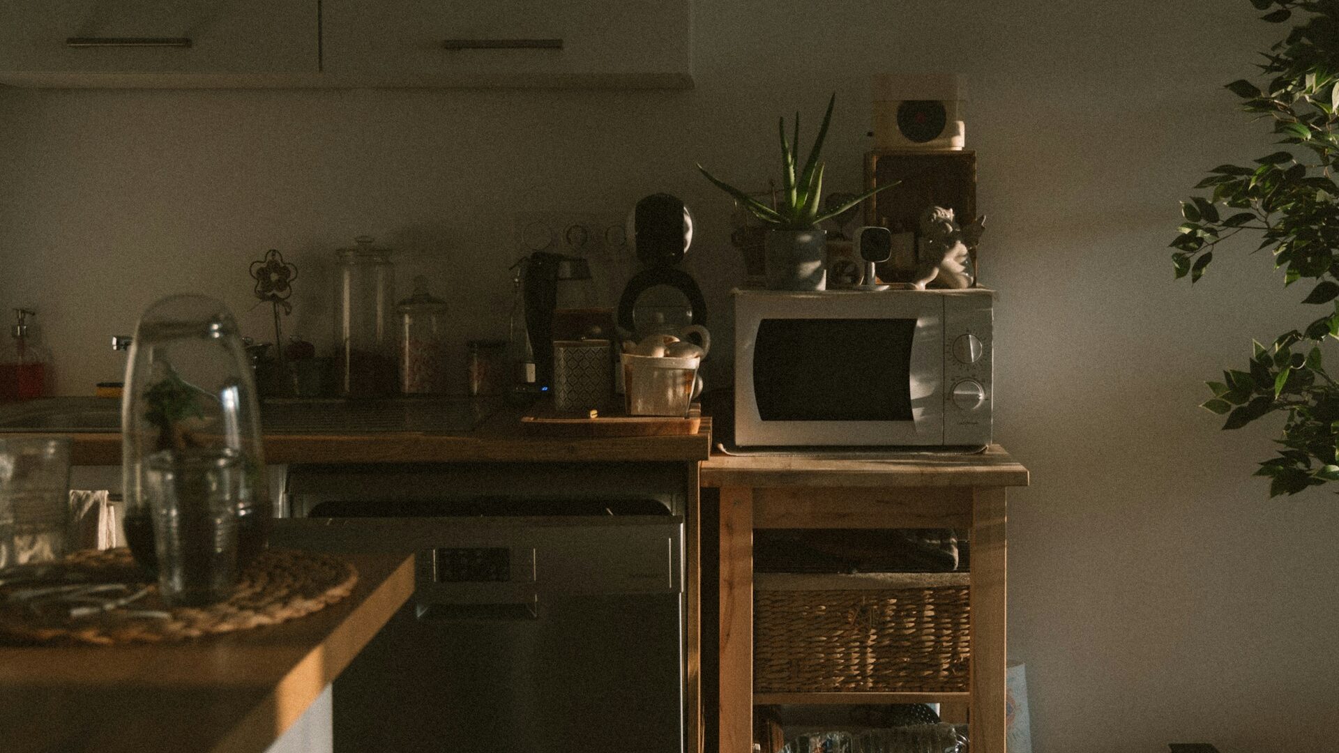 howard bouchevereau 0b19hoqazcw unsplash