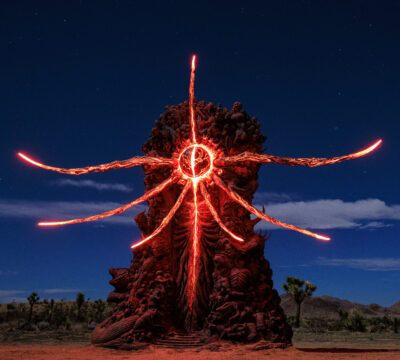 joshua tree