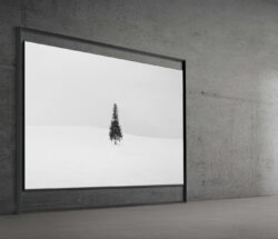 samsung tvs and displays samsung micro rgb tv main2x