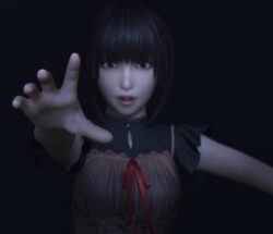 fatal frame 2  — велике