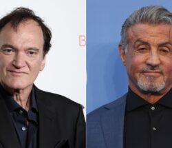 tarantino e stallone vao trabalhar juntos em serie gangster ambientada nos anos 30 diz site kevin wintergetty imagesmike marslandwireimage 2237984893 1404094258