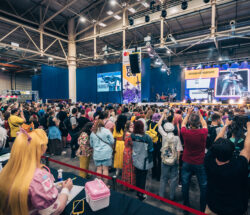 Головна сцена fancon ua 2024