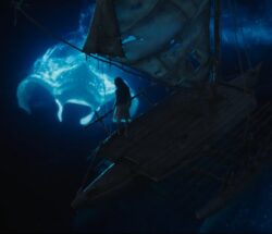 moana 2026 01